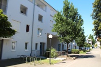 Links hellgraue Fassade einer Gebäudezeile mit 4 Etagen. Fußweg gepflastert, Abstandsgrün mit Bäumen.