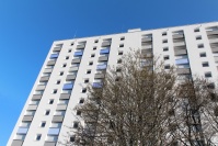 Saniertes Hochhaus mit 15 Etagen, Loggien bei allen Wohnungen, weiße Fassade mit Akzenten in blau.  Davor Baum.
