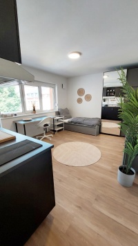 Wohnraum mit Einzelbett, Schrank, Schreibtisch, Stuhl, Sideboard und Küchenzeile