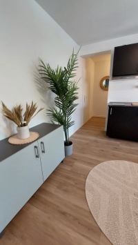Sideboard und Teppich Apartment