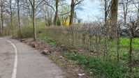 links geschitterte Zufahrt, rechts Hecken und Grünstreifen mit Müll