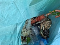Detailaufnahme in einen Müllsack. Neben Plastikschnipseln sieht man auch einen kaputten Stockschirm